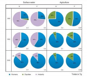 Figure 2: Total surface water loadings of nitrogen and phosphorus for 1900, 1950 and 2000 [Morée, 2013]. The right hand column 'Agriculture' shows how much nitrogen and phosphorus was used in agriculture for these years. While industry was the most important source of nitrogen and phosphorus in the early 20th century (pink) to surface water, it is now clear that human population numbers dominate the system (blue). Animals (green) are mostly important for agricultural nitrogen and phosphorus.