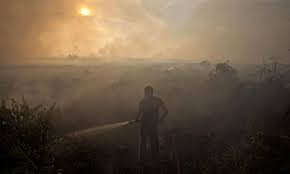 An Indonesia peat fire, burning peat within the soil leads to extensive smoke emitted and proves very difficult to combat.