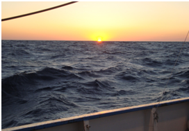 The sun setting on my first night onboard Thetys II,  15 m long research vessel 