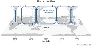 Figure 1: ENSO neutral conditions. The illustration was created by Fiona Martin and obtained from (http://www.climate.gov/sites/default/files/Walker_Neutral_large.jpg).