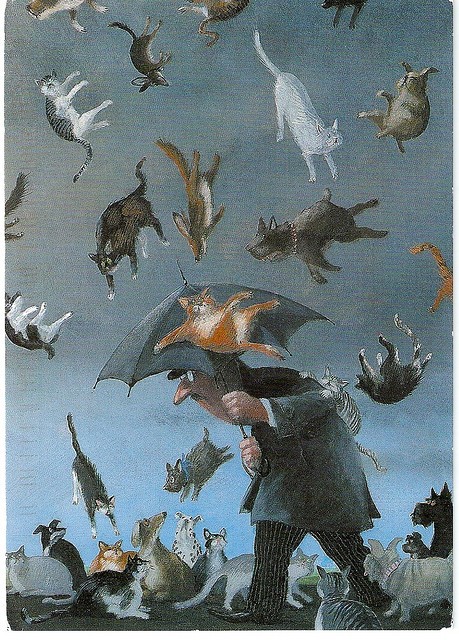 Cats_dogs_rain
