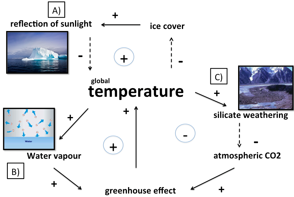 Figure 2: Major feedbacks on climate in the absence of life: A) Ice-albedo feedback (picture: [5]), B) water vapour feedback (picture: [3]) silicate-weathering feedback ( picture: [11]) 