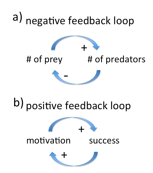 Figure 1: a) negative feedback: A higher number of prey (e.g. hares) leads to a higher number of predators ( e.g. foxes). a higher number of predators however leads to a lower number of prey, ultimately leading to a lower number of predators again. However, with declined predator numbers, the number of prey goes up again, causing predator numbers to rise again. b)a positive feedback: In an ideal world, success leads to higher motivation, which will increase the success again. Also a positive feedback: No success leads to less motivation, which again leads to even less success.