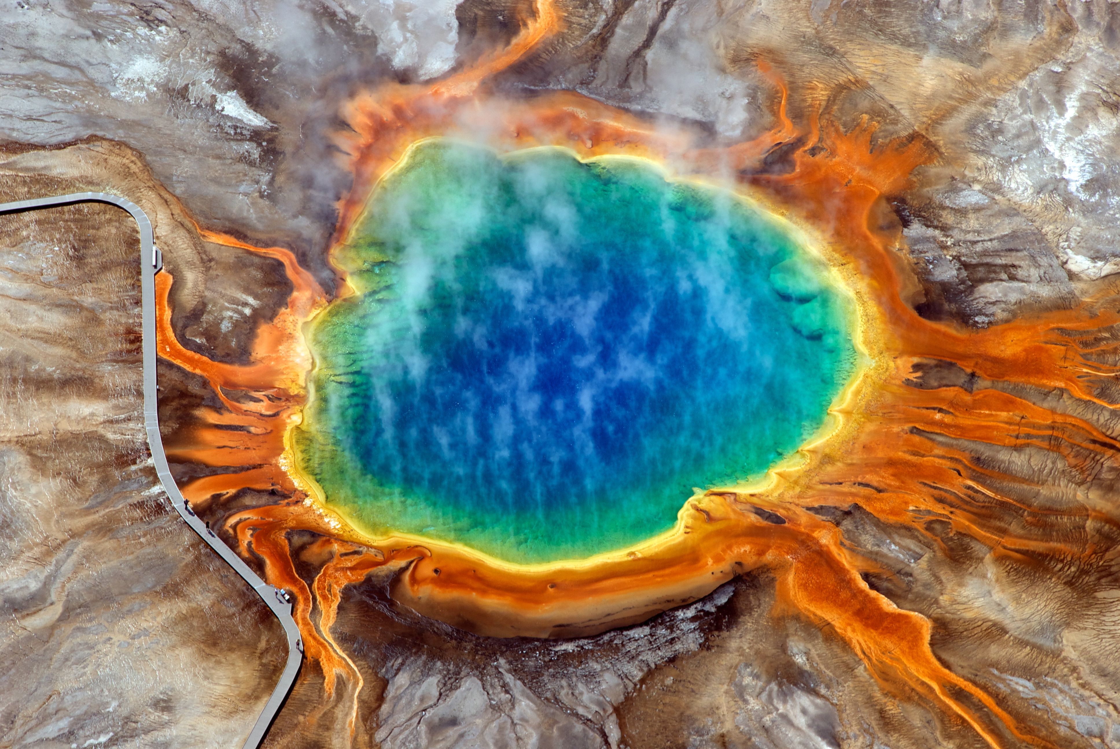 Figure 1: Grand Prismatic Hot Spring, Yellowstone National Park. Microorganisms inhabit this extreme environment and produce the bright colours. (Wikipedia)
